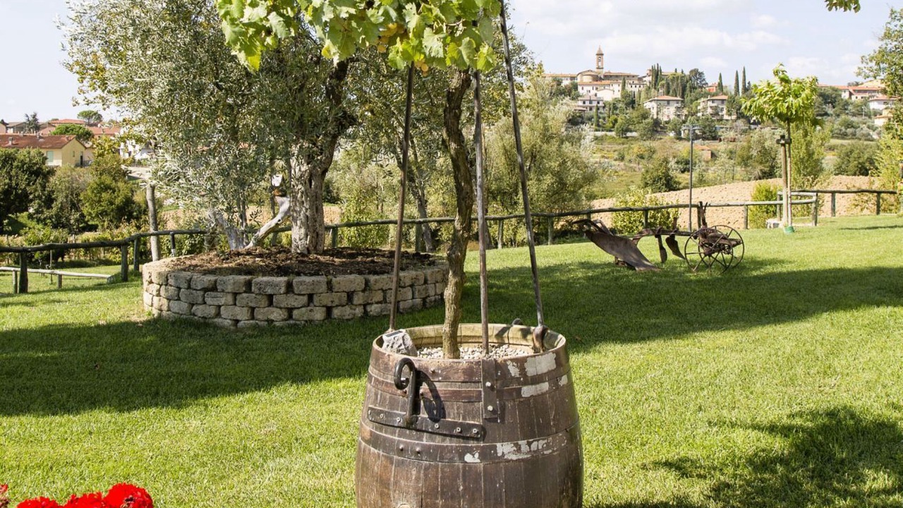 Photo of Outdoor in Castiglion Fibocchi