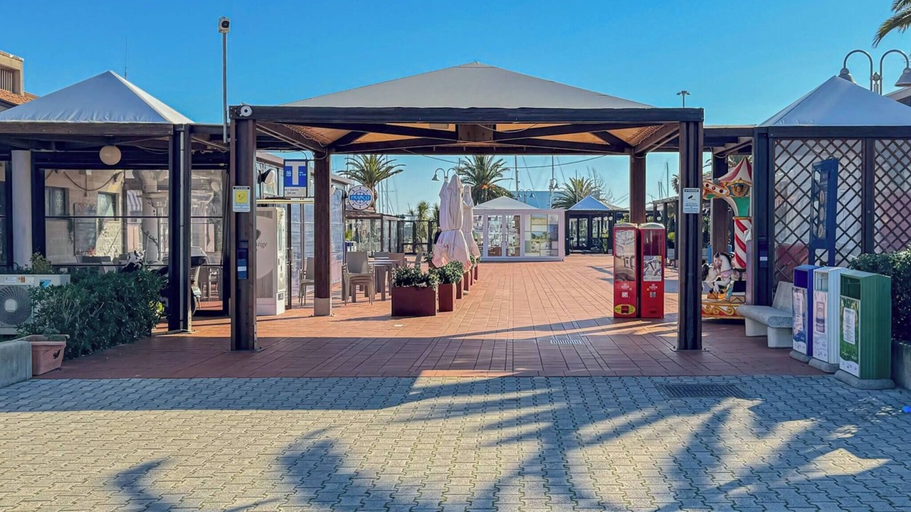 Photo of Outdoor in Pineta