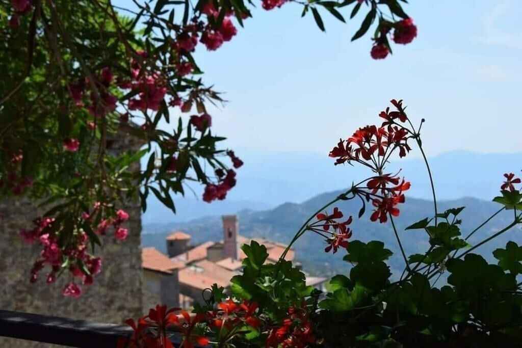 Photo of Outdoor in Stella Cilento