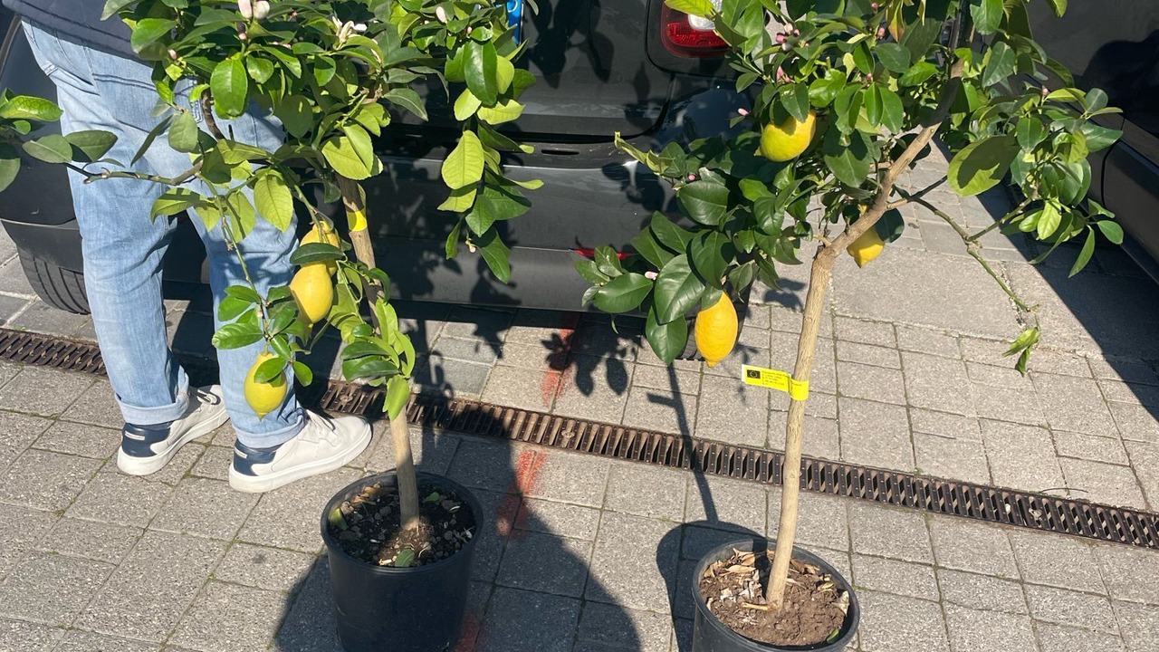 Photo of Outdoor in Ercolano