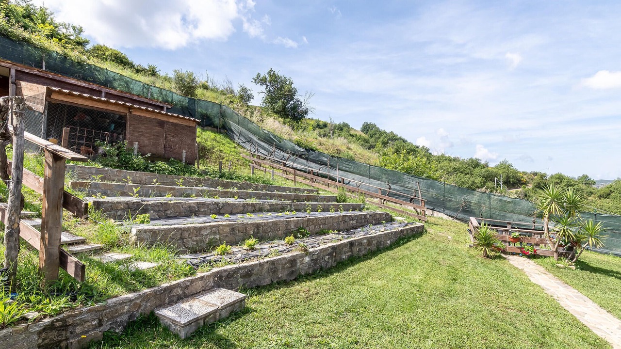 Photo of Others in Torchiara