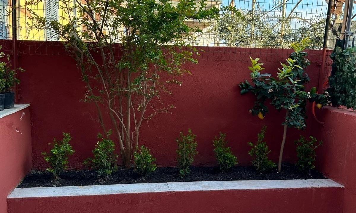 Photo of Outdoor in Naples