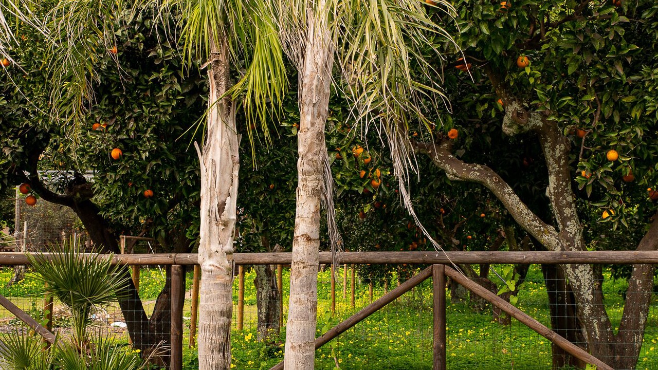 Photo of Outdoor in Licola