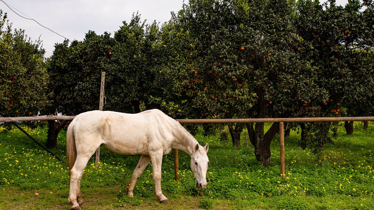 Photo of Outdoor in Licola