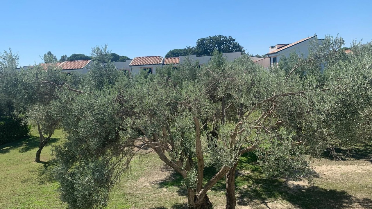 Photo of Outdoor in Sant'Andrea Apostolo dello Ionio