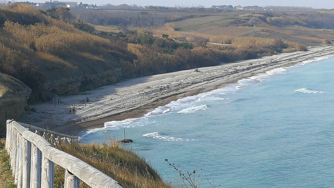 Photo of Others in Vasto