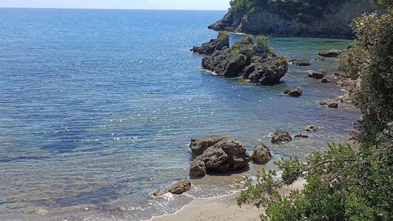 Photo of Others in Scario