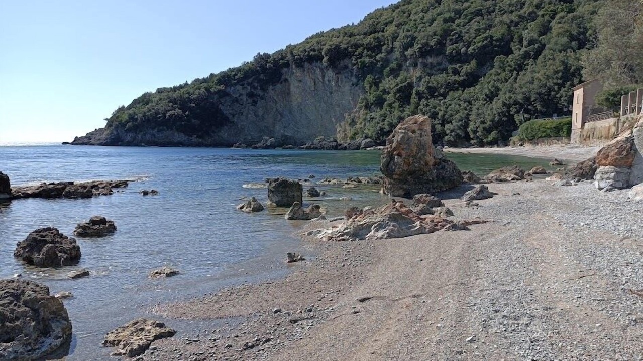 Photo of Others in Scario