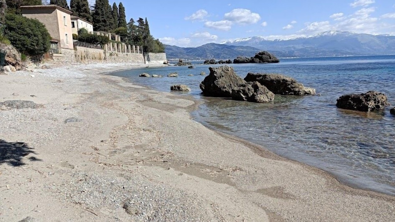 Photo of Others in Scario