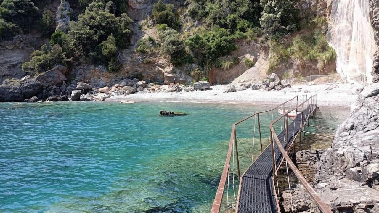 Photo of Others in Scario