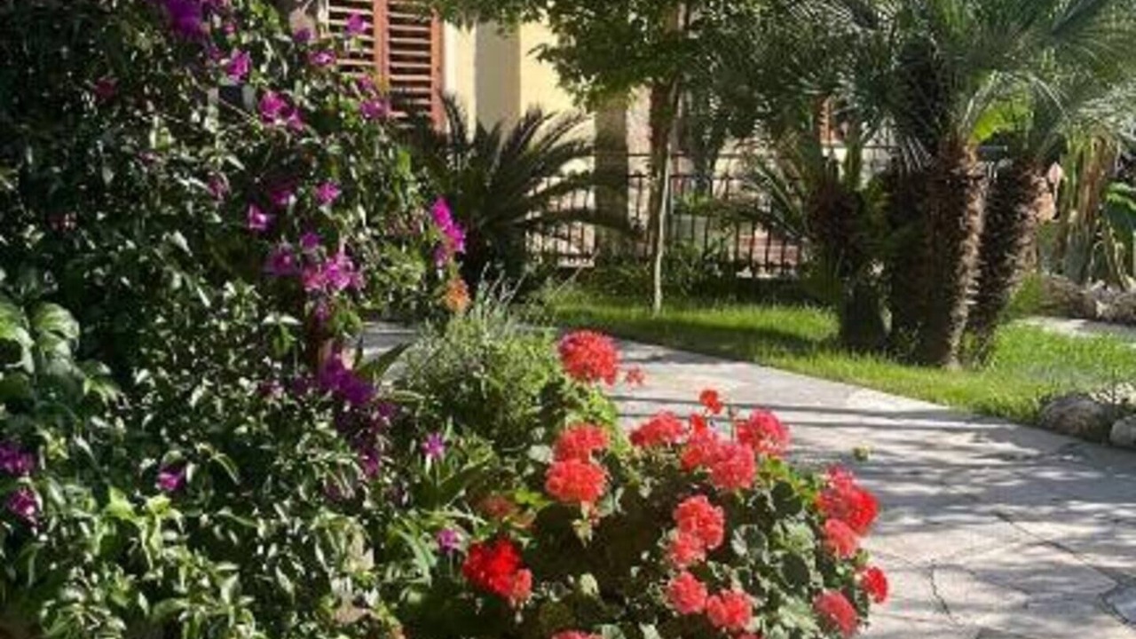 Photo of Outdoor in Cleto