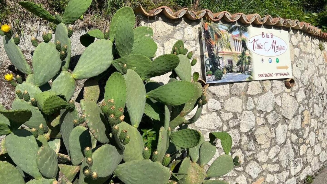 Photo of Outdoor in Cleto