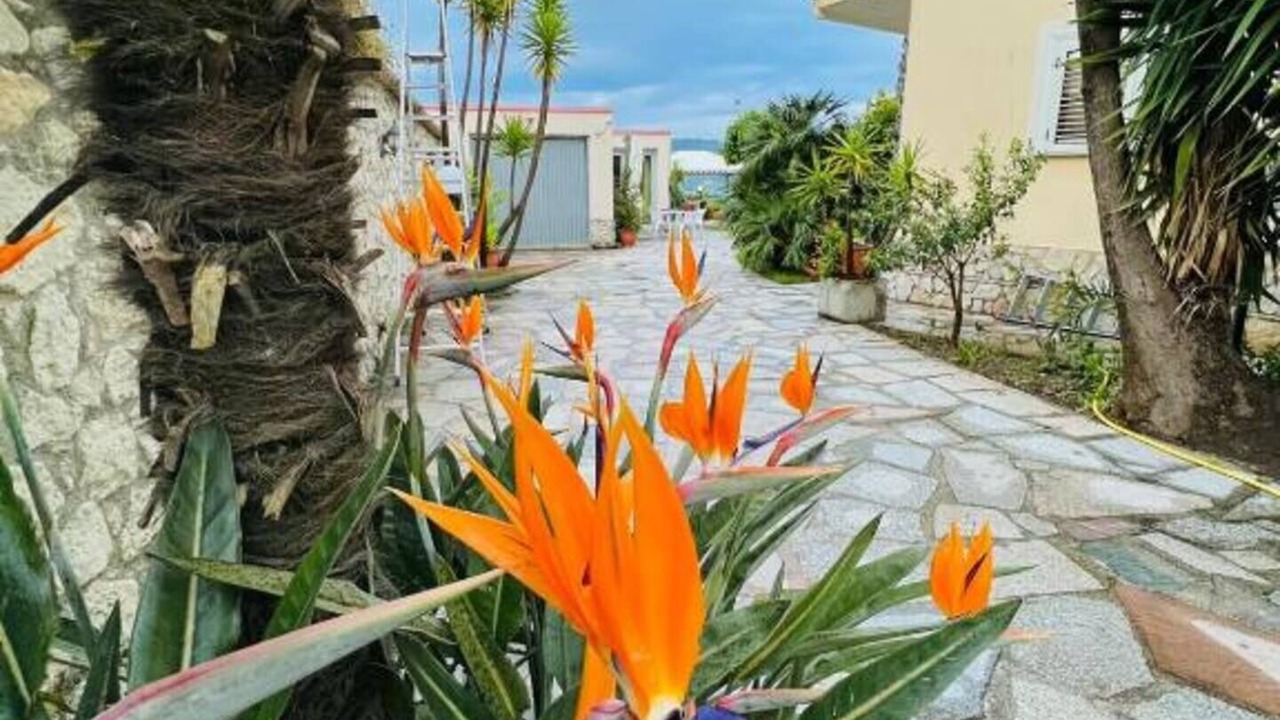 Photo of Outdoor in Cleto