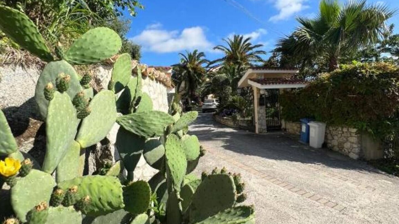 Photo of Outdoor in Cleto