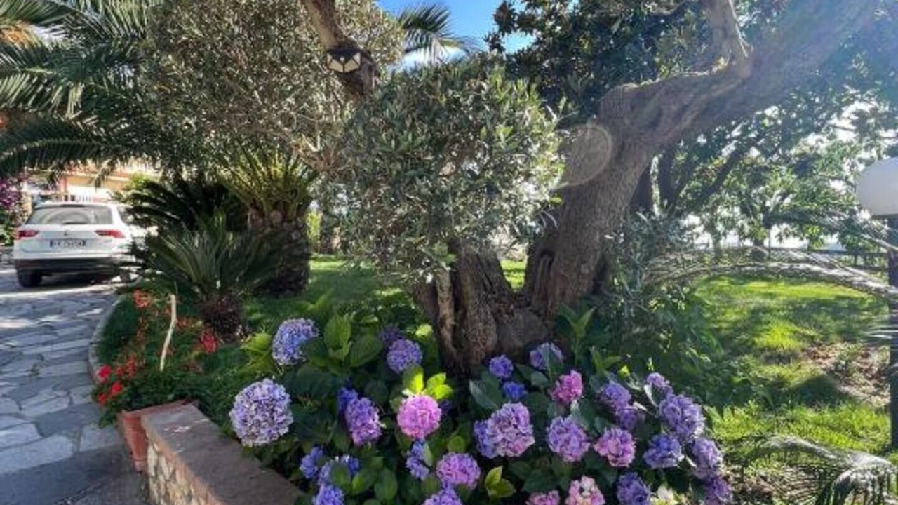 Photo of Outdoor in Cleto