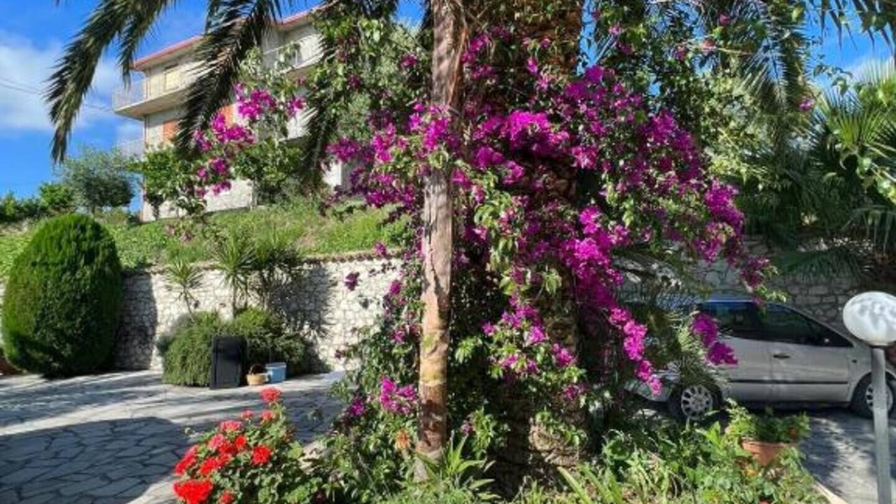 Photo of Outdoor in Cleto