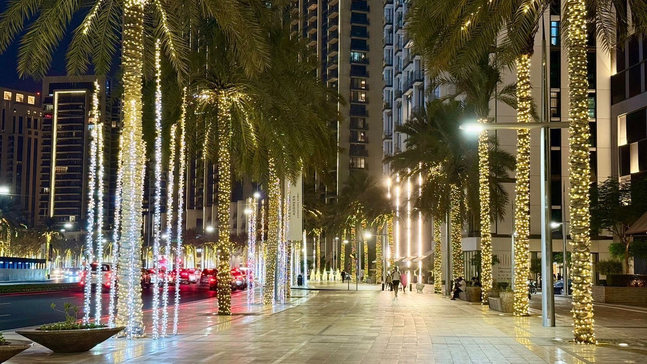 Photo of Others in Dubai