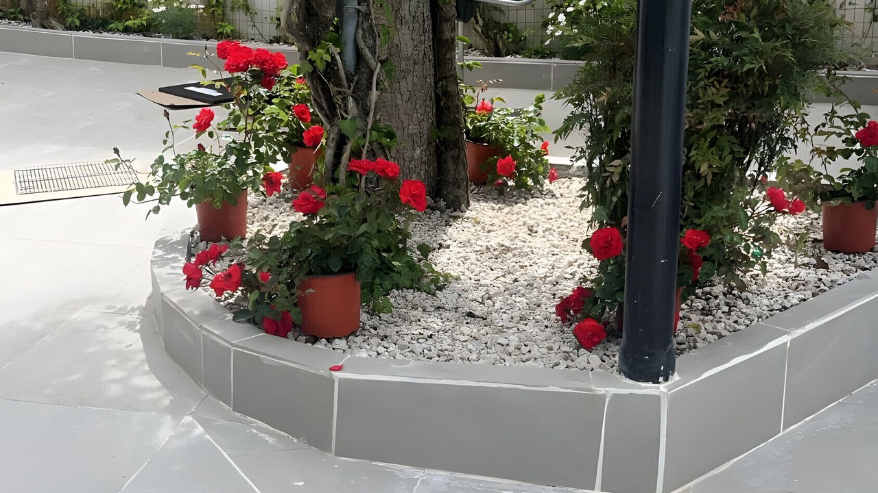 Photo of Outdoor in Venticano