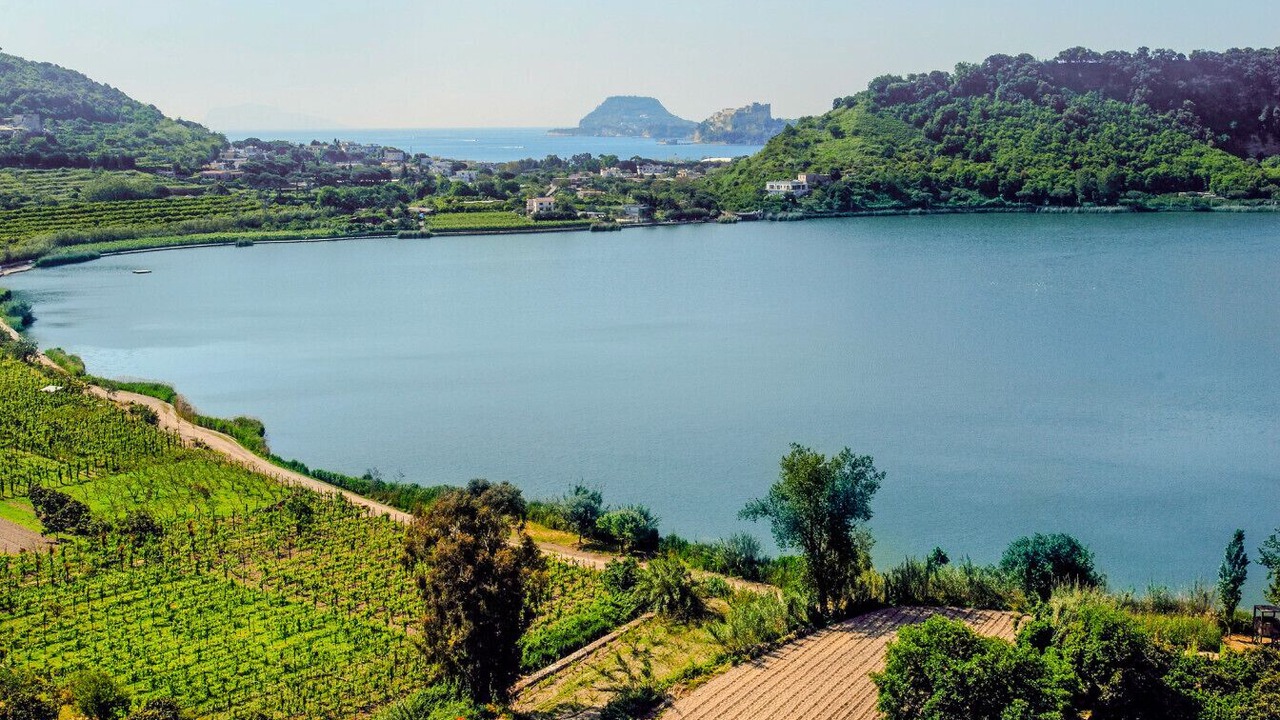 Photo of Outdoor in Licola