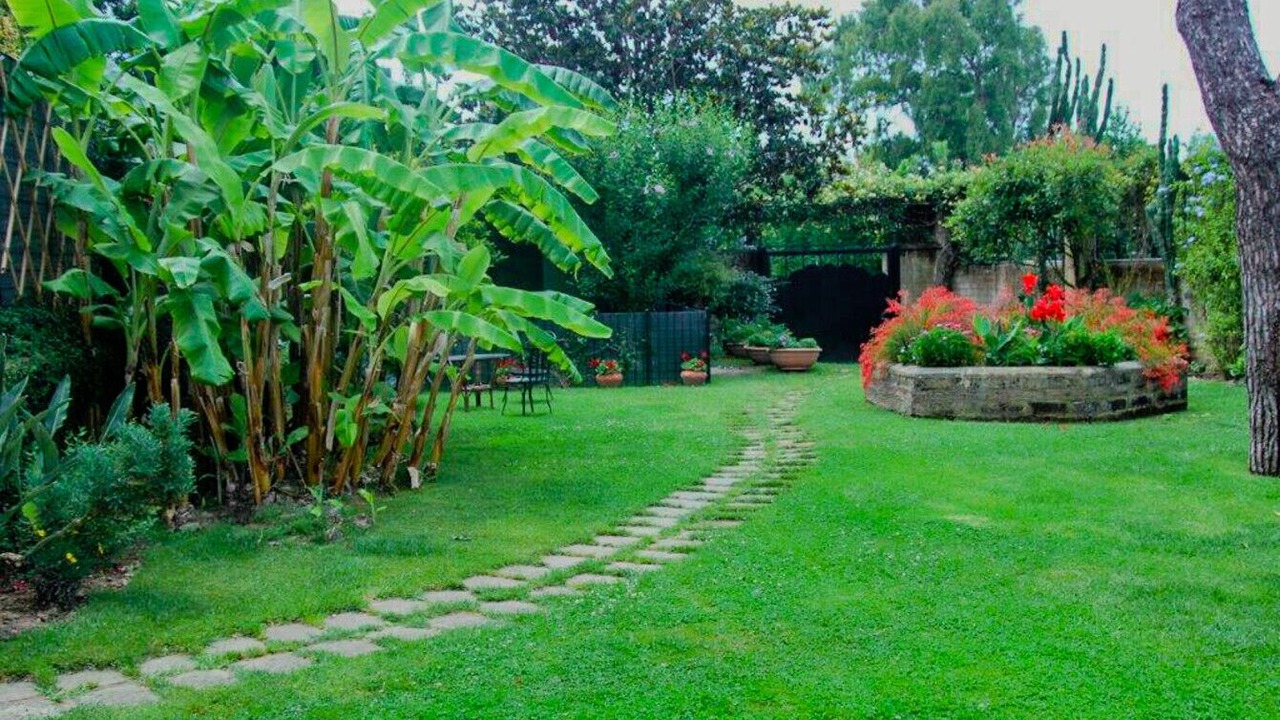 Photo of Outdoor in Licola