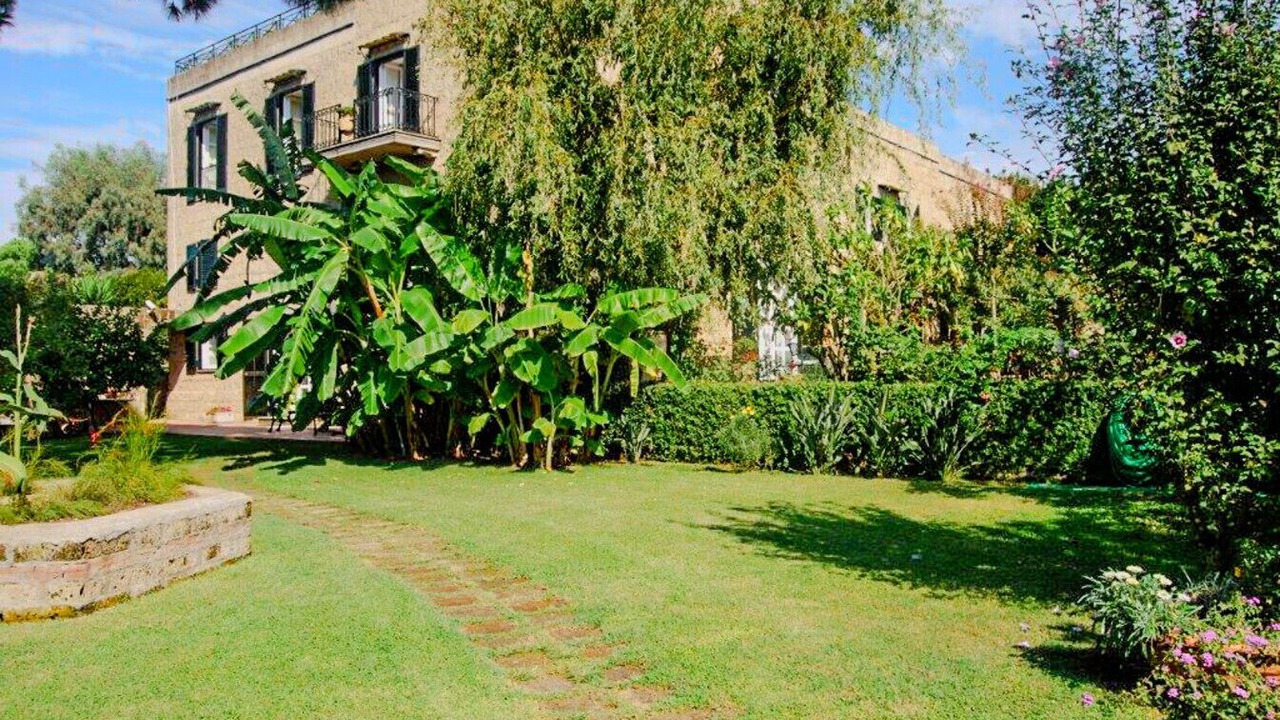Photo of Outdoor in Licola