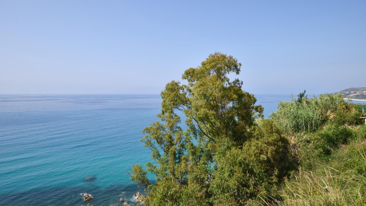 Photo of Others in Parghelia