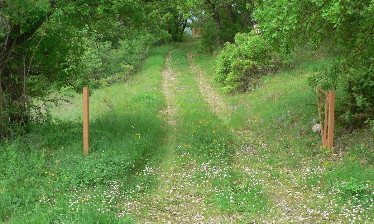Photo of Outdoor in Cansano