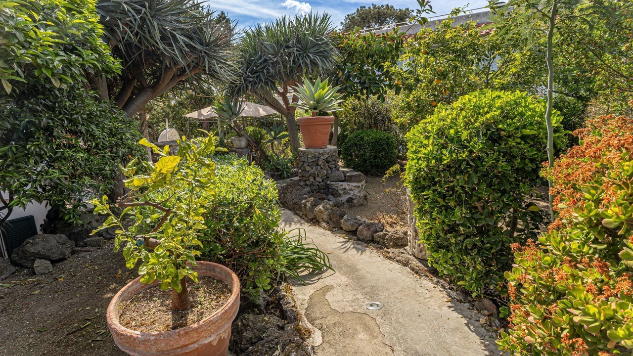 Photo of Outdoor in Ischia Porto