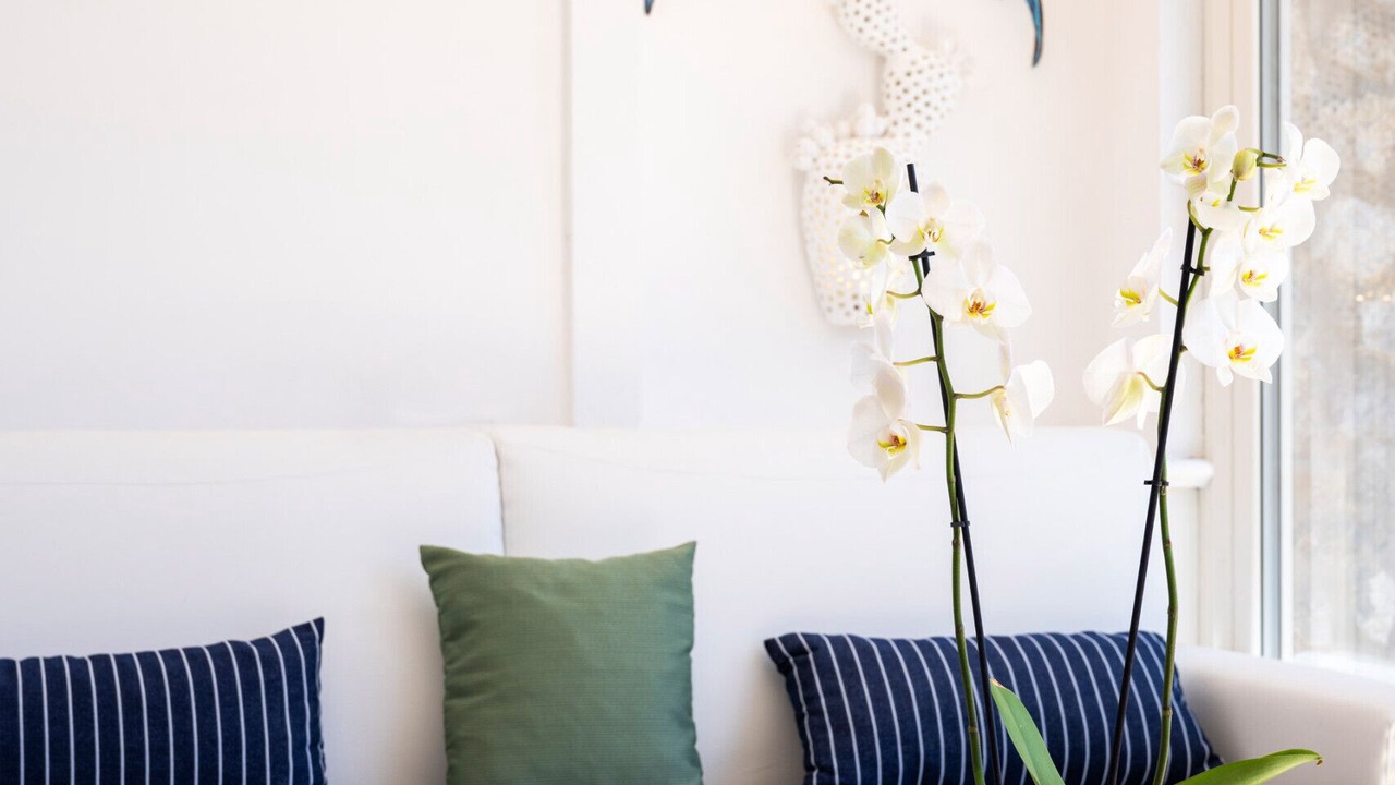 Photo of Livingroom in Nocelle