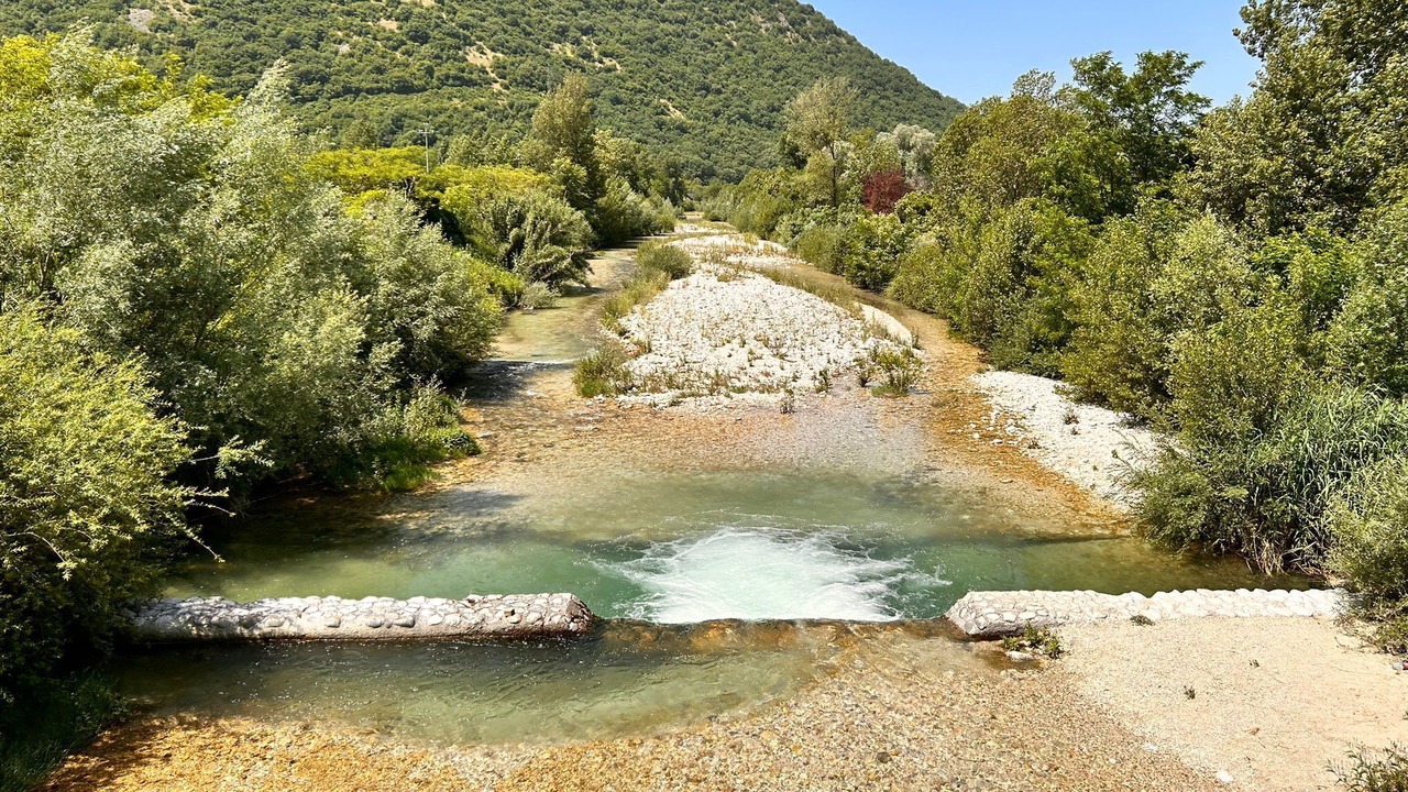 Photo of Others in Atina