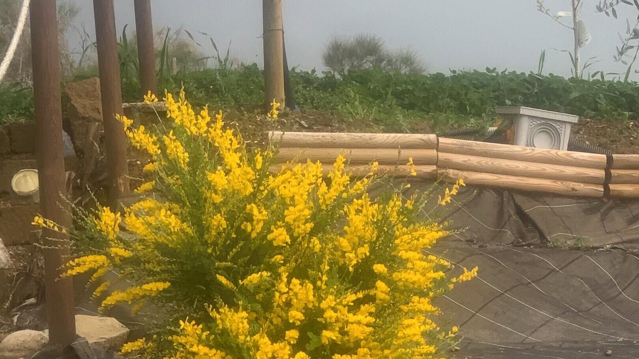 Photo of Outdoor in Civitaquana