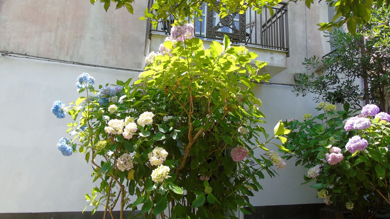 Photo of Outdoor in Pucara