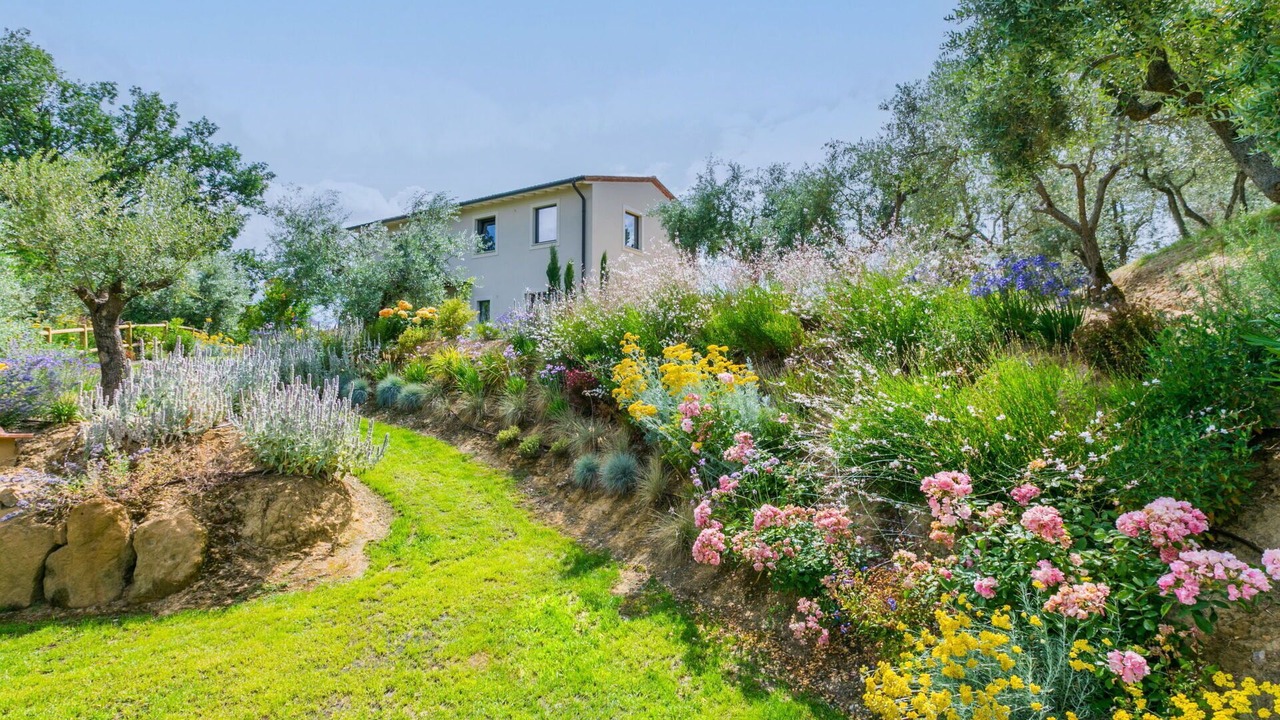 Photo of Outdoor in Montisi