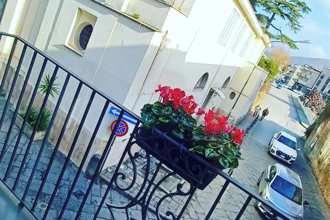 Photo of Outdoor in Nola