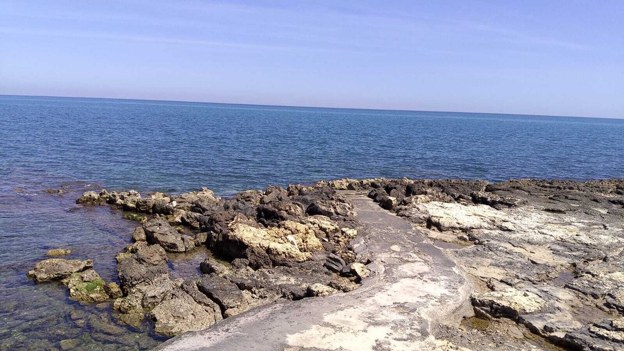 Photo of Others in Giovinazzo