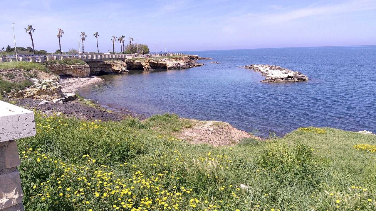 Photo of Others in Giovinazzo