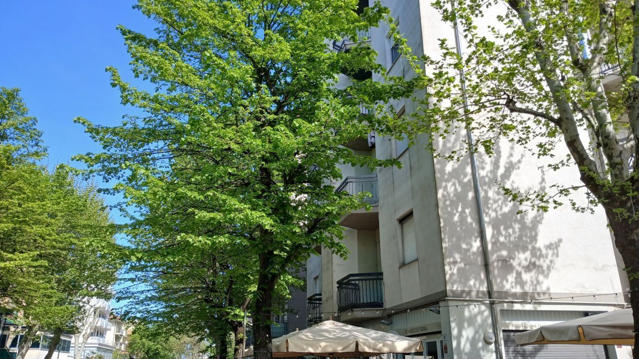 Photo of Outdoor in Valverde
