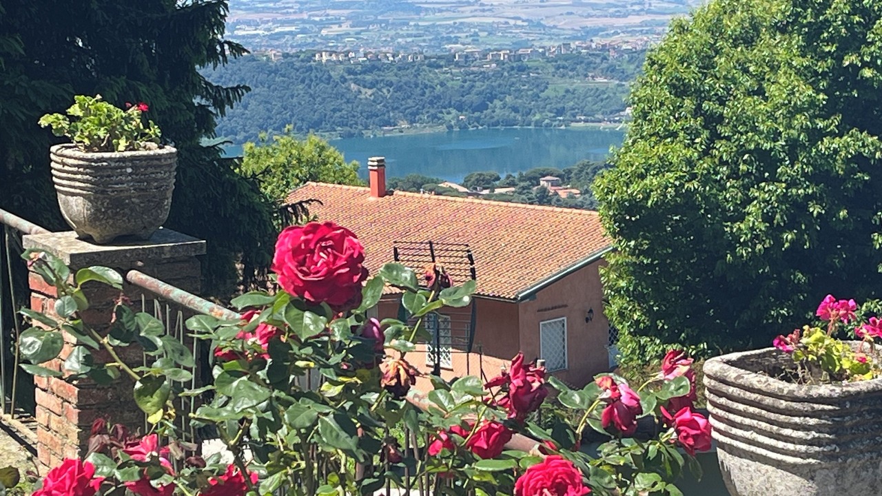 Photo of Outdoor in Rocca di Papa
