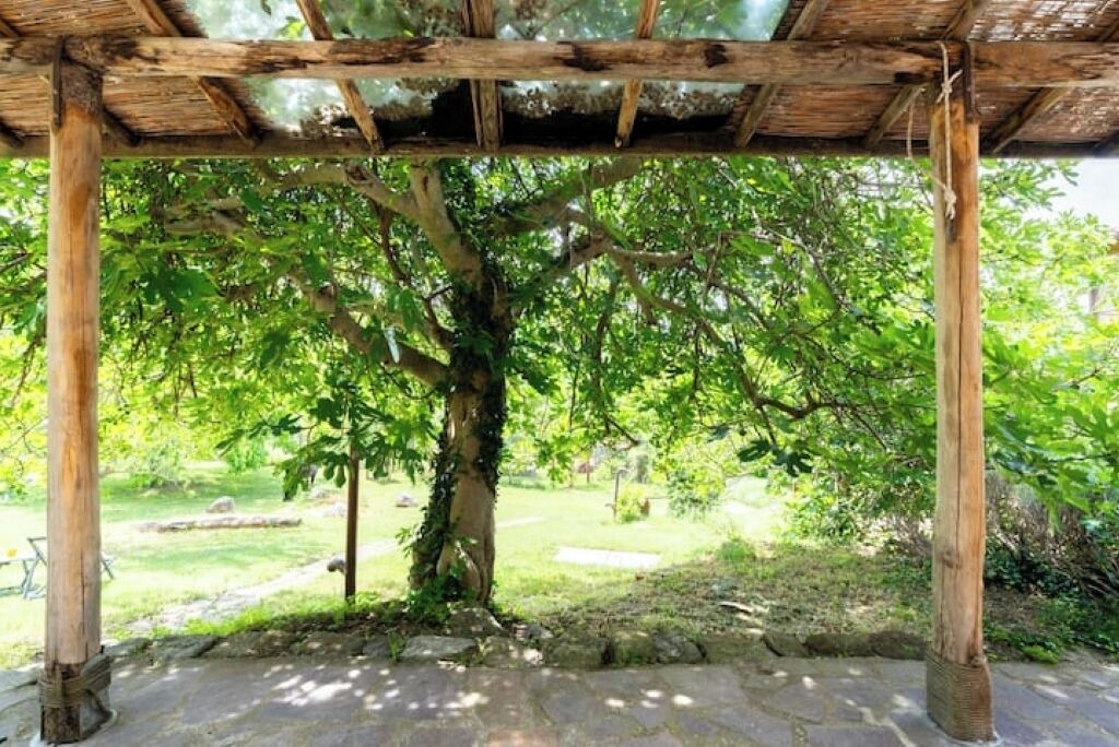 Photo of Outdoor in Castel del Piano