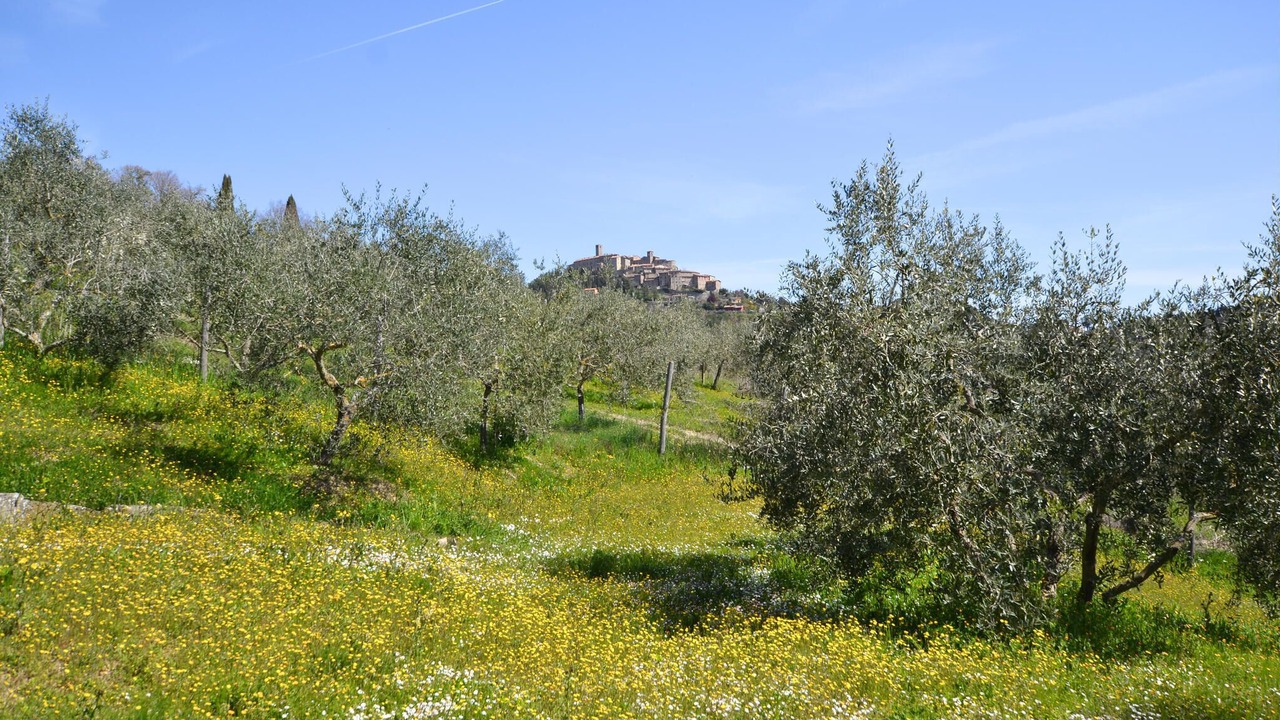 Photo of Bedroom in Monte Santa Maria Tiberina