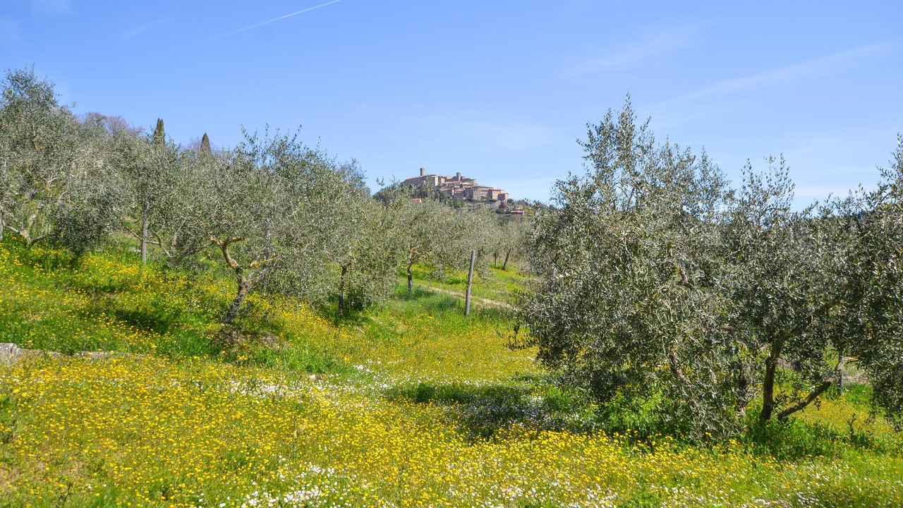 Photo of Bedroom in Monte Santa Maria Tiberina