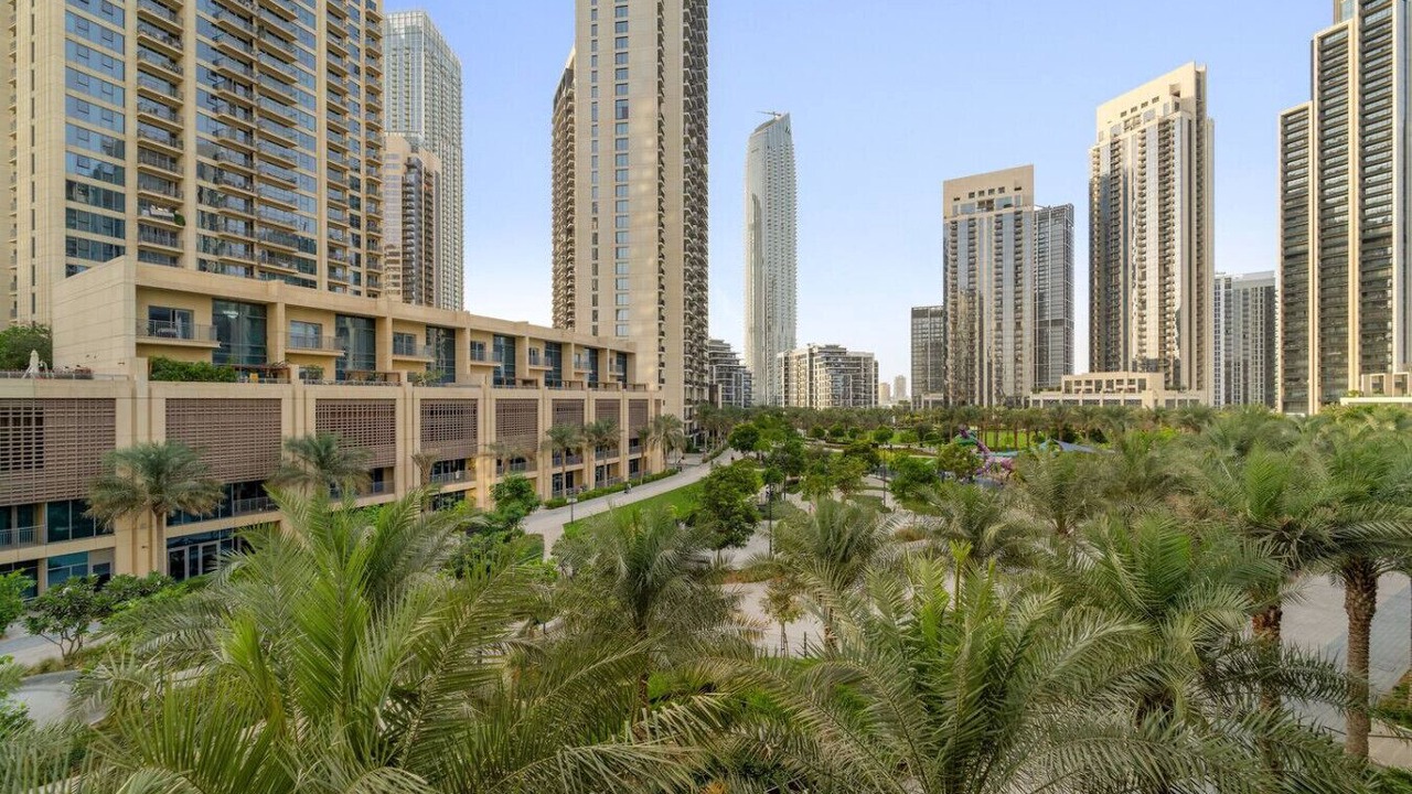 Photo of Others in Dubai