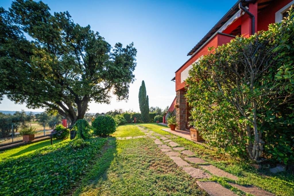 Photo of Outdoor in Bolsena
