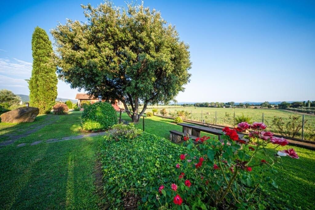 Photo of Outdoor in Bolsena