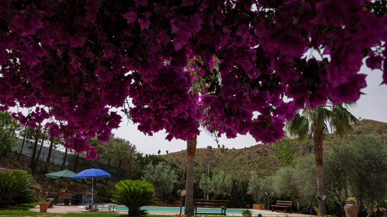Photo of Outdoor in Santa Caterina Dello Ionio Marina
