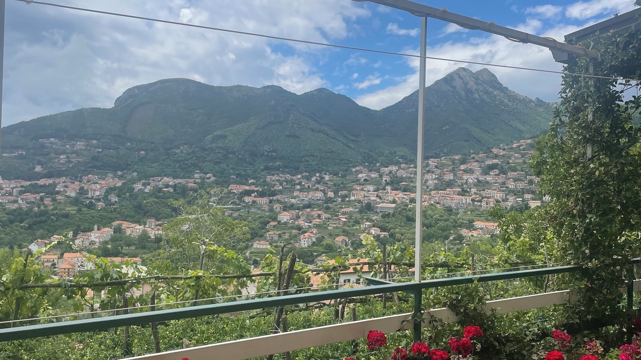 Photo of Outdoor in San Lazzaro