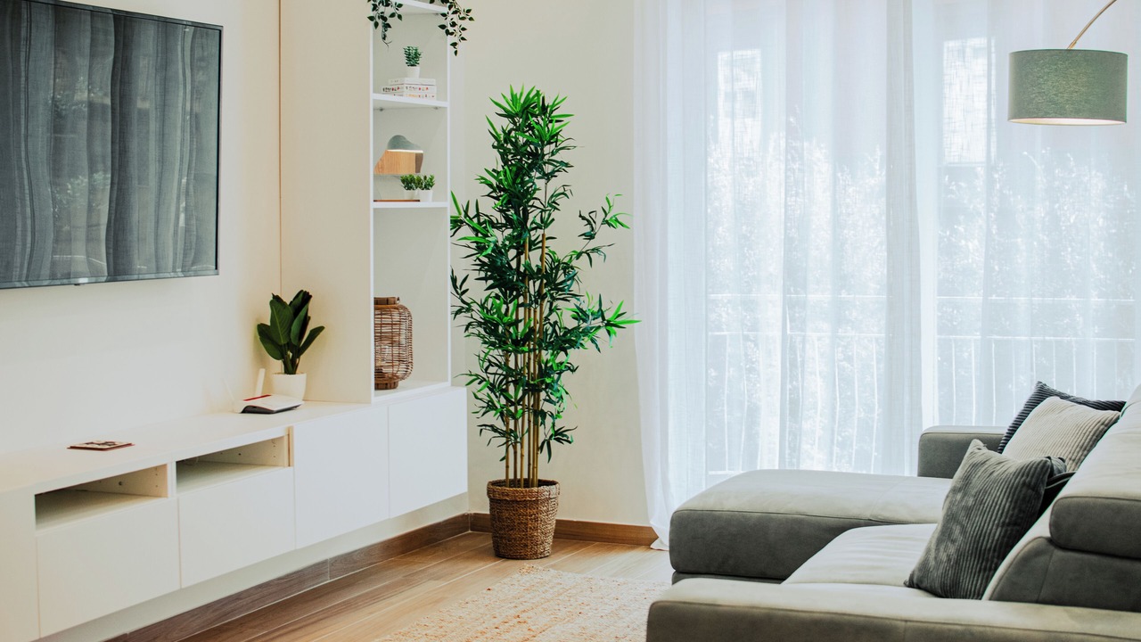 Photo of Livingroom in Frattamaggiore