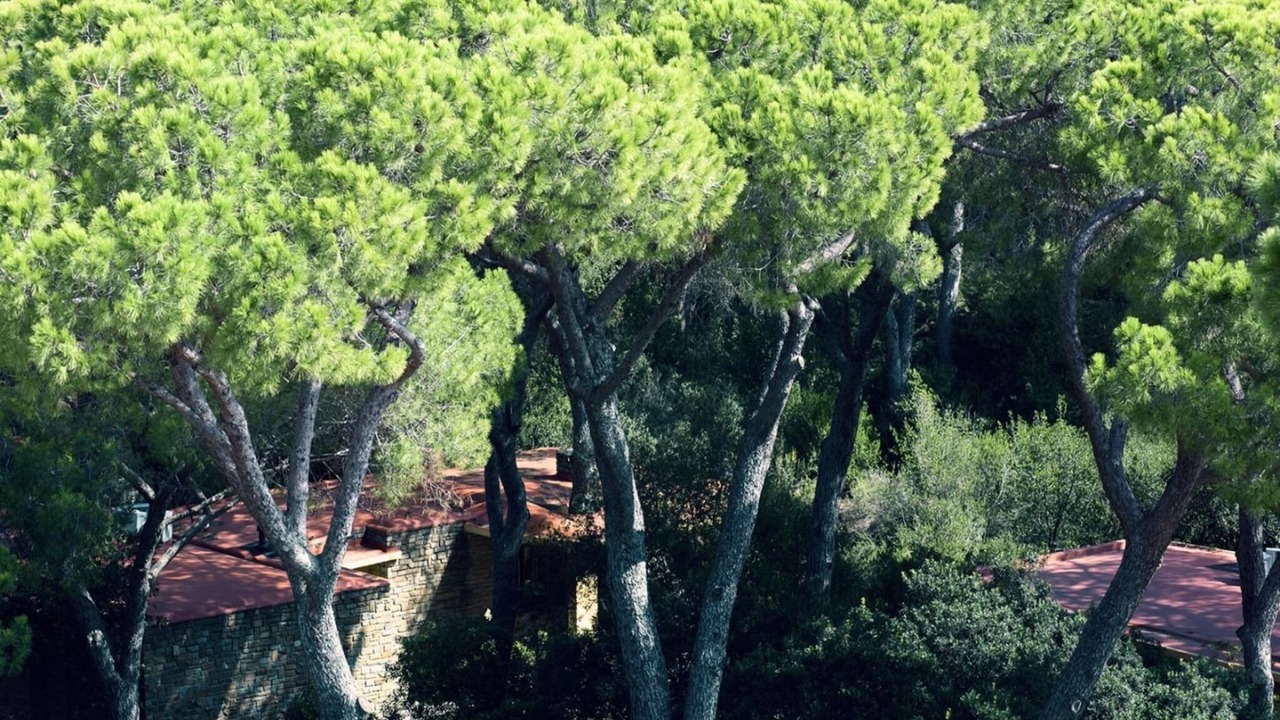Photo of Others in Roccamare