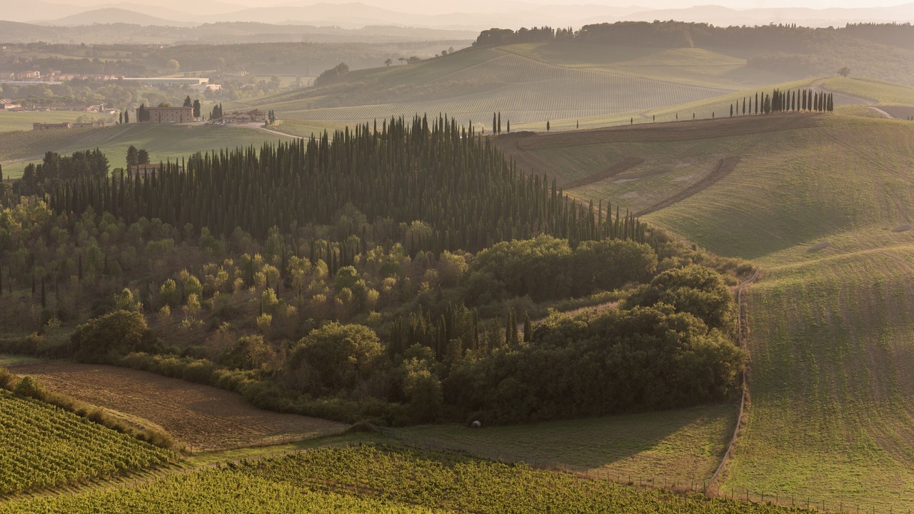 Photo of Others in Castellina in Chianti