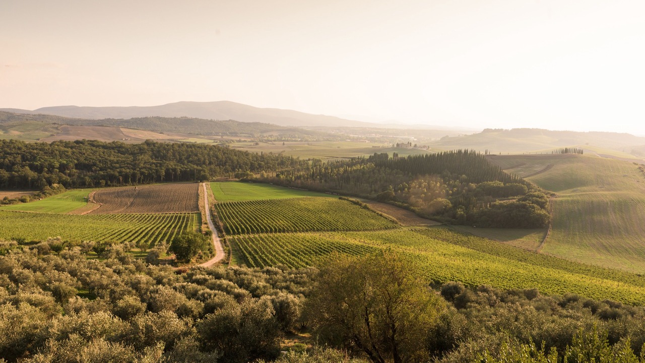 Photo of Others in Castellina in Chianti